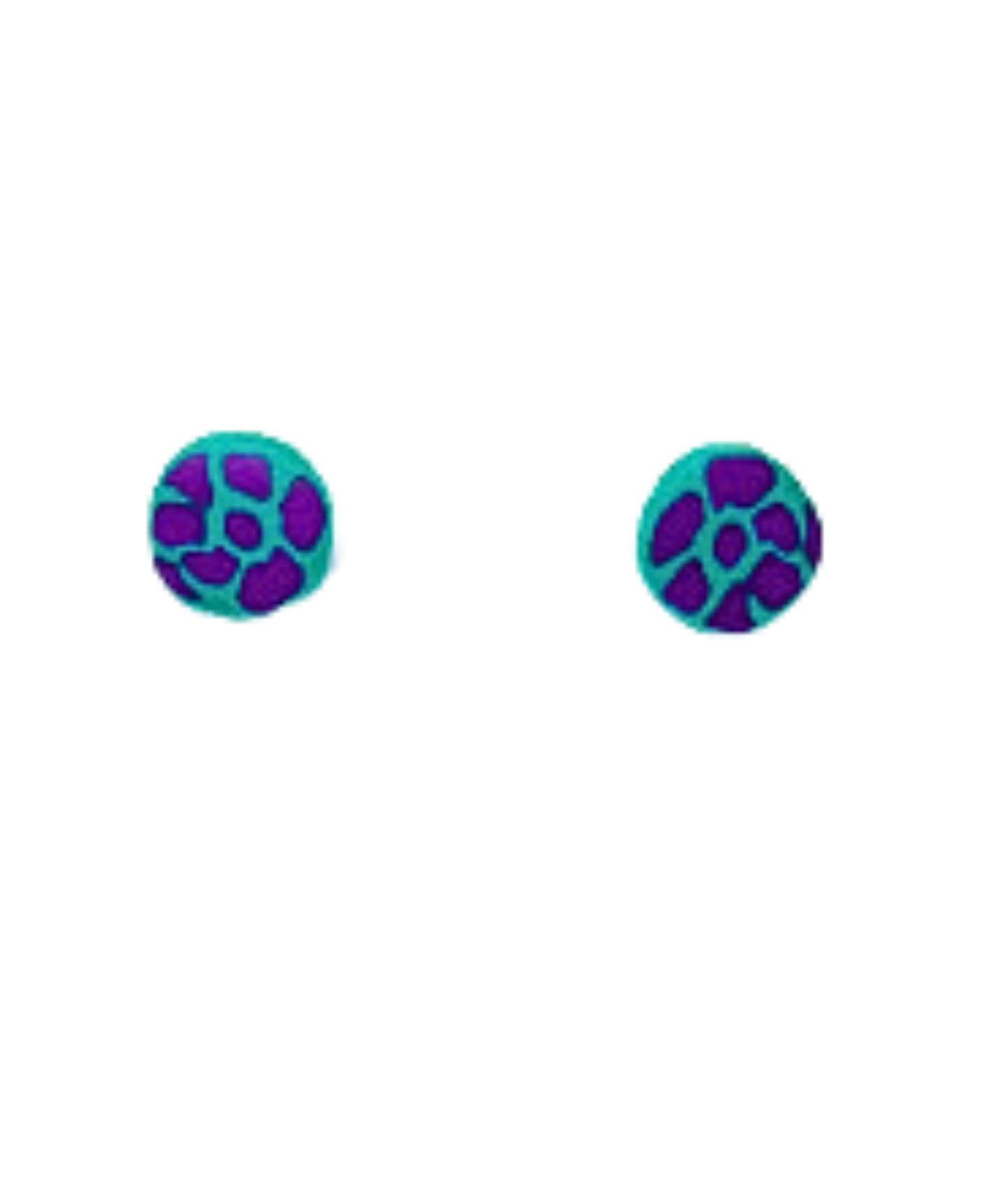 Animal Print Stud earrings Titanium Post